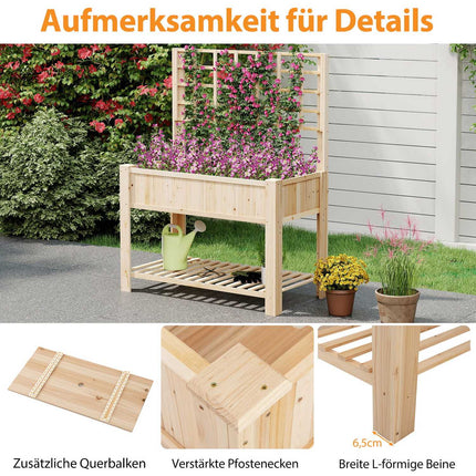Raised Garden Bed with Trellis and Drainage, 116x59x150 cm