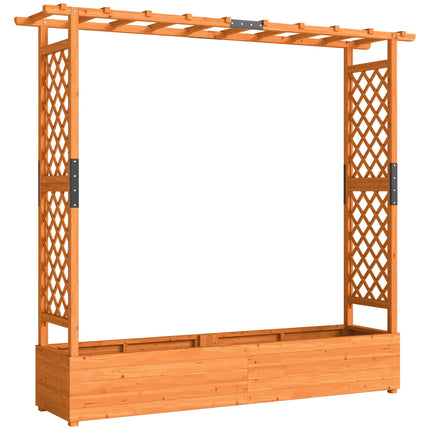 Raised Garden Bed with Trellis and Roof, 196x44x181 cm, Wood