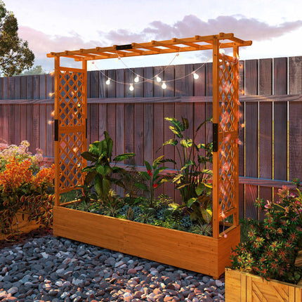 Raised Garden Bed with Trellis and Roof, 196x44x181 cm, Wood