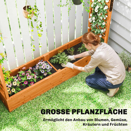 Raised Garden Bed with Trellis and Roof, 196x44x181 cm, Wood