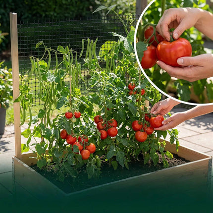 Raised Garden Bed with Trellis for Vegetables & Herbs