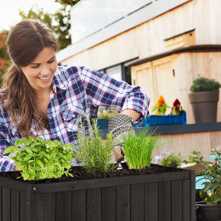 Raised bed of spruce