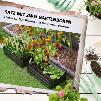 Raised garden bed set, stainless steel, dark grey, 100x60x30 cm