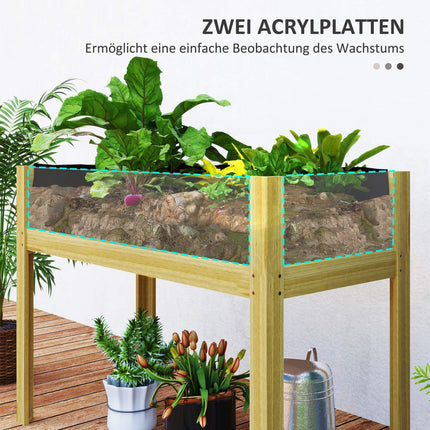 Raised vegetable bed with acrylic panels, 110x50x80 cm