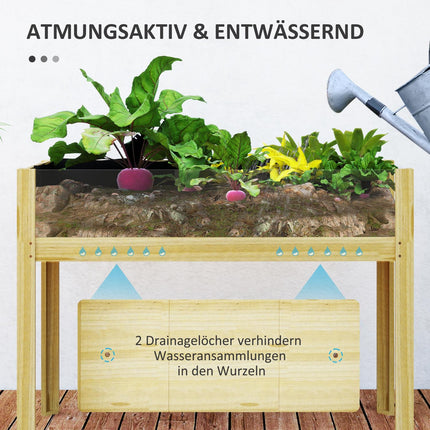 Raised vegetable bed with acrylic panels, 110x50x80 cm