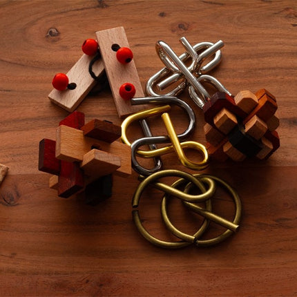 Recent Toys Brainteaser Brain Puzzle Set