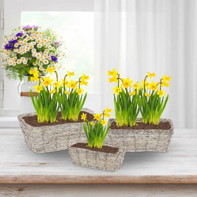Rectangular flower pot - set of 3