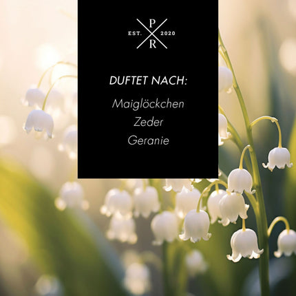 Reed Diffuser 100ml – Long-Lasting Fragrance