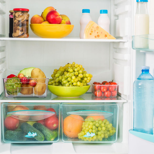 Refrigerator storage with handle