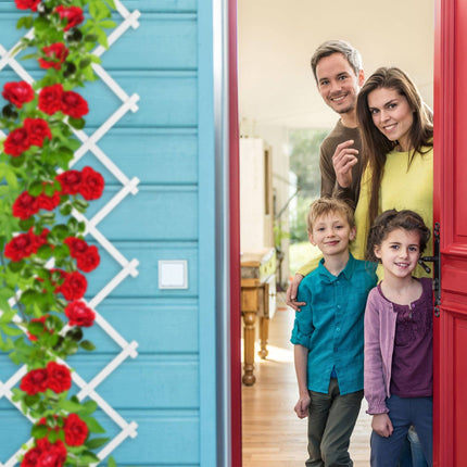 Retractable trellis set with 3,250 cm