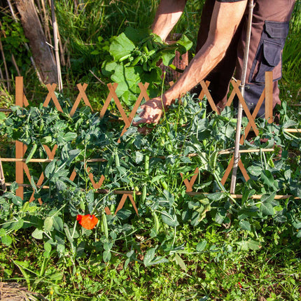Retractable wooden trellis