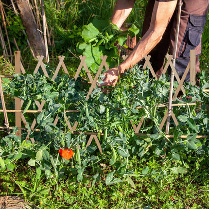 Retractable wooden trellis