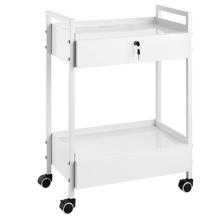 Rolling Lab Cart, 2-Tier Steel, 2 Locking Drawers