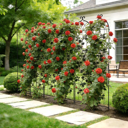 Rose Trellis 6-Pack, 220 x 52.5 cm, Powder-Coated Steel