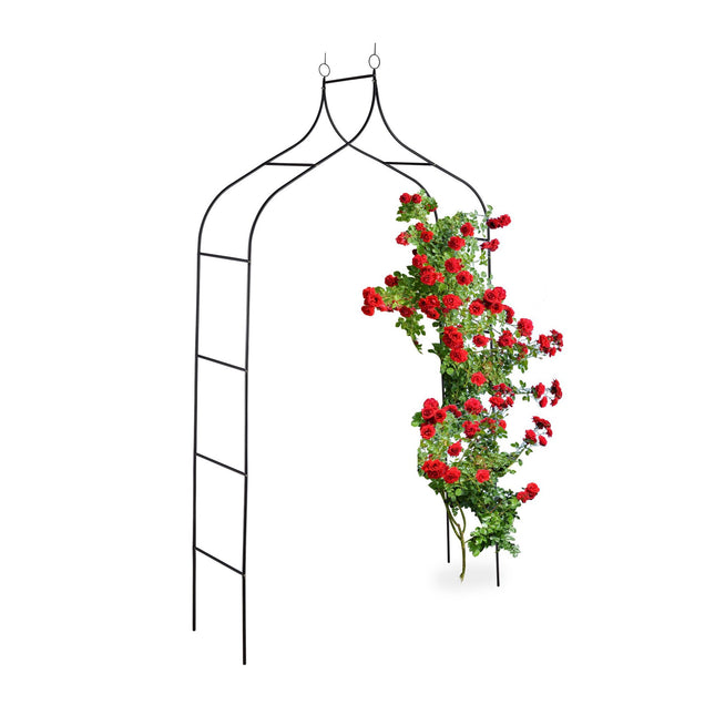 Rose arch 255 cm high