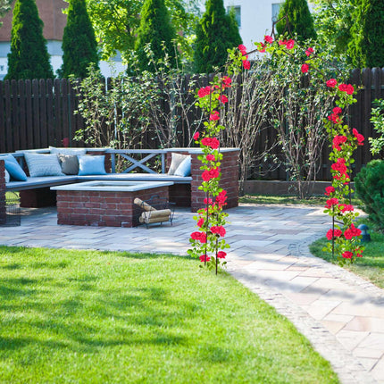 Rose arch 255 cm high