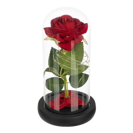 Rose in glass - shining Ruhhy 25682