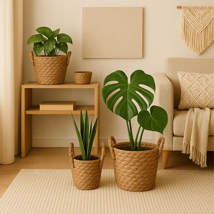 Round Plant Pot Set of 3 – Foil-Lined Reed Design