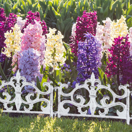 Round rolling plate for potted plants