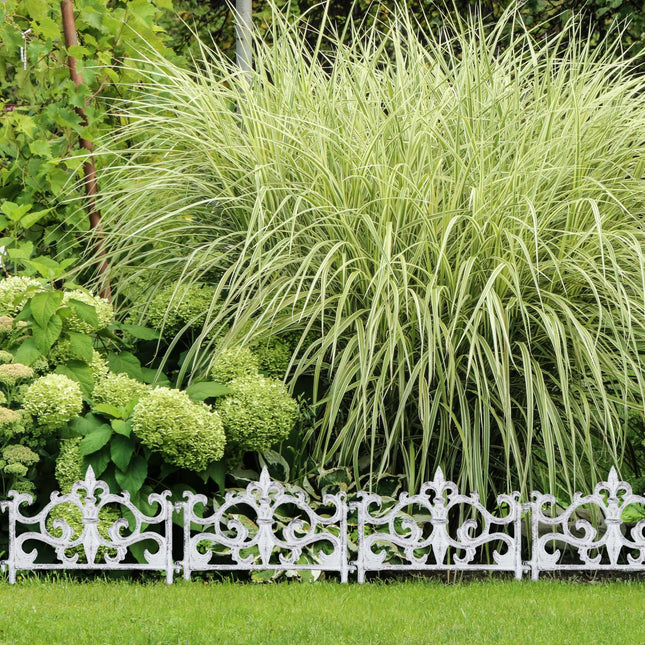 Round rolling plate for potted plants