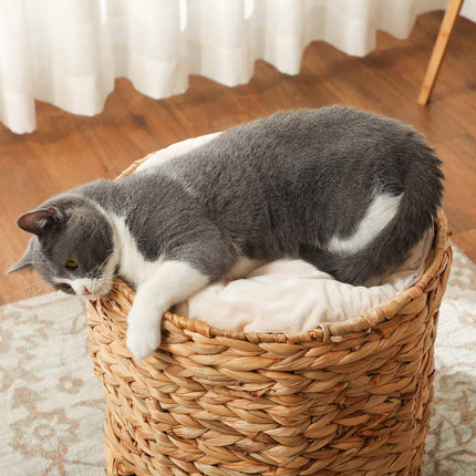 Cat Scratching Barrel, Water Hyacinth, 50 cm, Light Brown