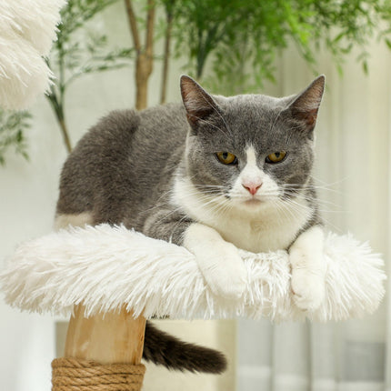 Cat scratching post with play ball, beds, for cats <5 kg