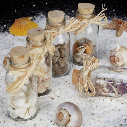 Seashells in Glass Bottles – Coastal Home Decor