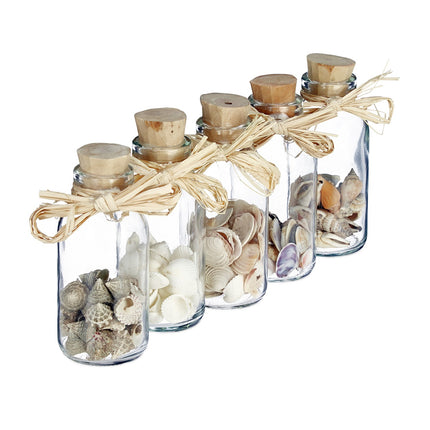 Seashells in Glass Bottles – Coastal Home Decor
