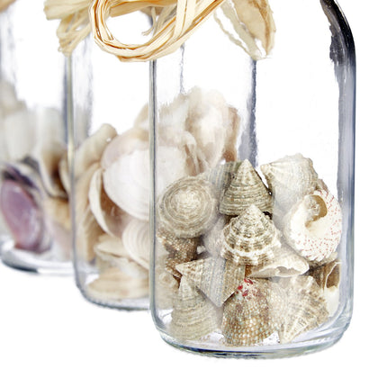 Seashells in Glass Bottles – Coastal Home Decor