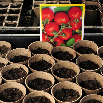 Seed pots 80 pcs.