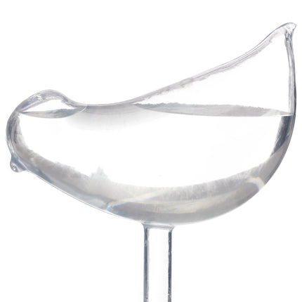 Self-watering bird set of 4