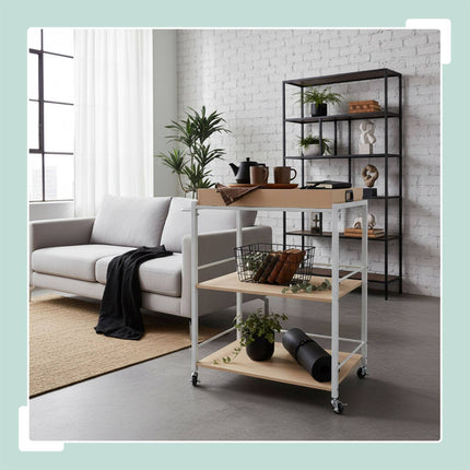 Serving Trolley with Removable Tray and Brakes