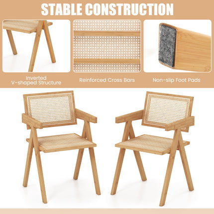 Set Of 2 Rattan Accent Chairs, Natural Bamboo Frame