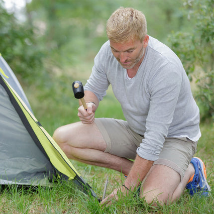 Set of 20 tent pegs