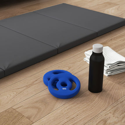 2 x 5 kg Blue Dumbbell Weight plates, 30 mm Drilling