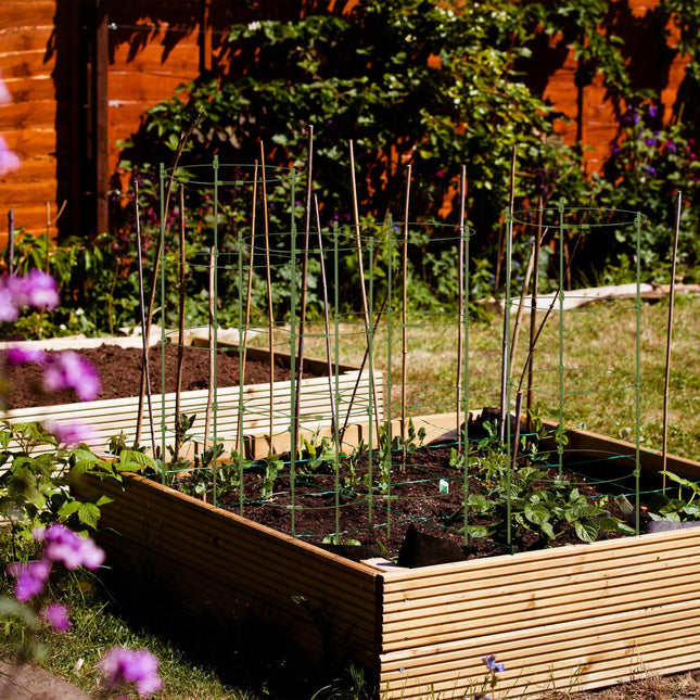 Set of 5 Round Tomato Trellises, 90 cm
