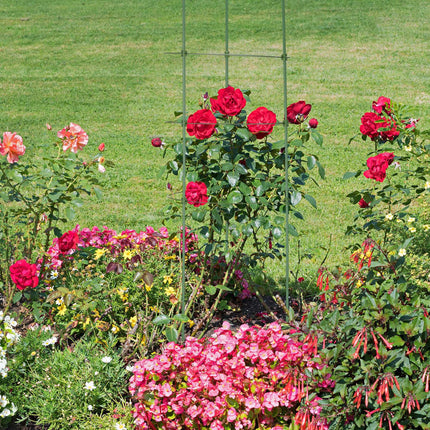 Set of 8 Plant Supports 90 cm