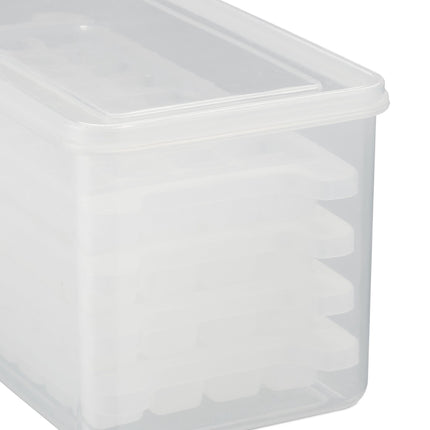 Set of ice cube molds with box and lid