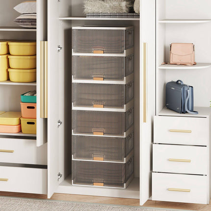 Shoe Rack Organizer, Foldable 6-Tier, Clear Doors, Wheels