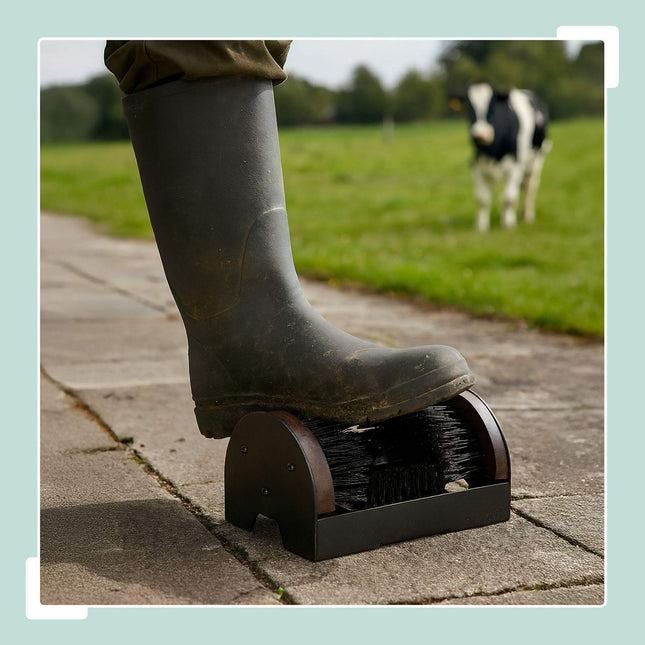 Shoe Scraper with Surround Brushes for Outdoor Cleaning