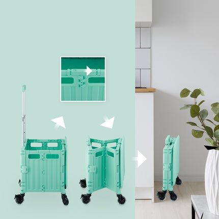 Shopping cart with hood