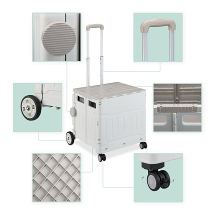 Shopping cart with lid
