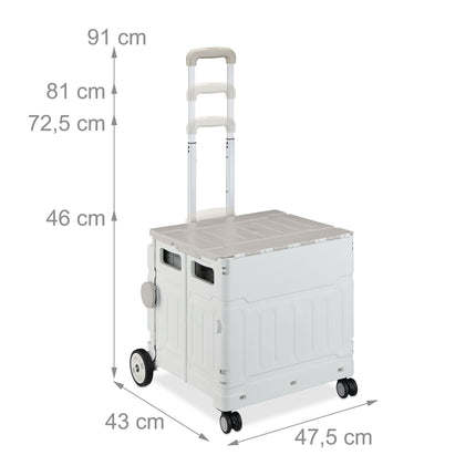 Shopping cart with lid