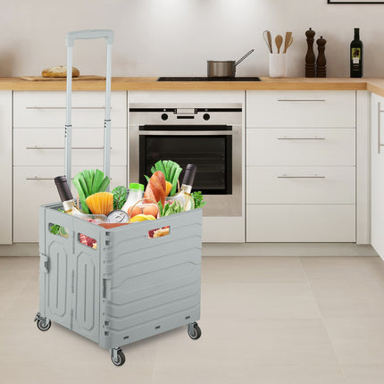 Shopping cart with telescopic handle