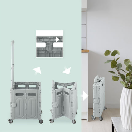 Shopping cart with telescopic handle