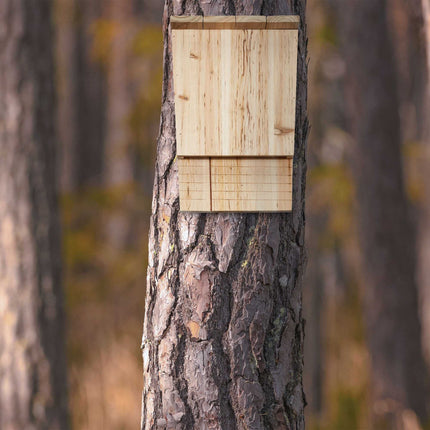 Slanted Bat Box