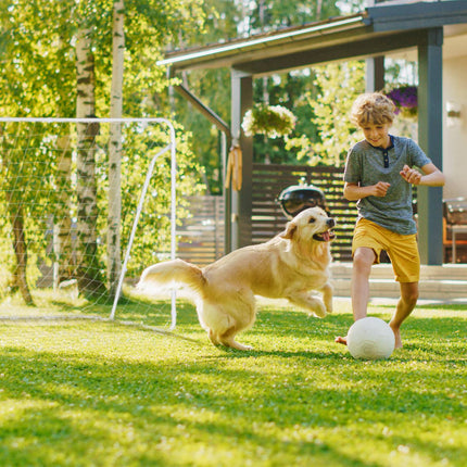 Soccer goal in white steel