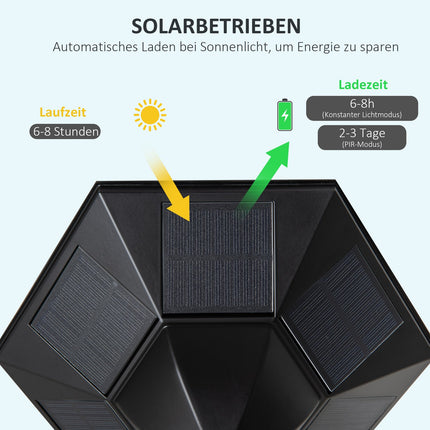 Solar Garden Path Light, 19 LED, 130 Lumen, Black
