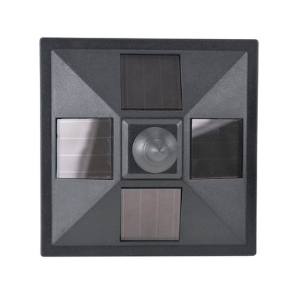 Solar Path Light with 10-lumen LED, black, 120cm