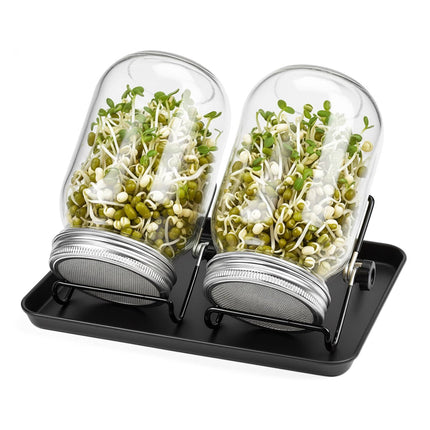 Sprouting Jars Set with Holder & Tray for Home Use